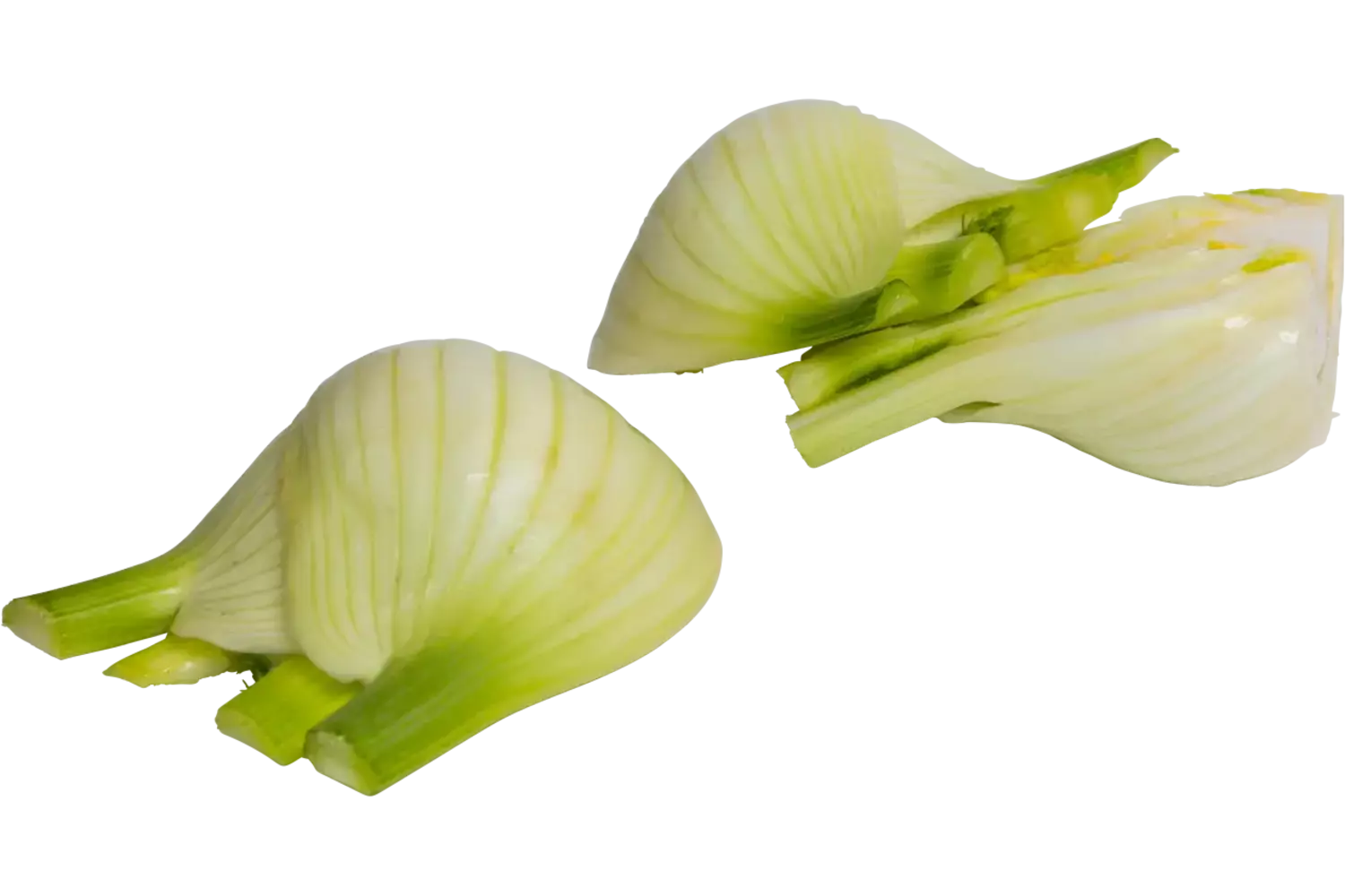 Venkel gehalveerd bak 1kg stuk 1